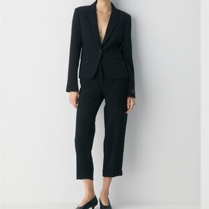 Aritzia Wilfred Spire Pants - Tapered and Cropped